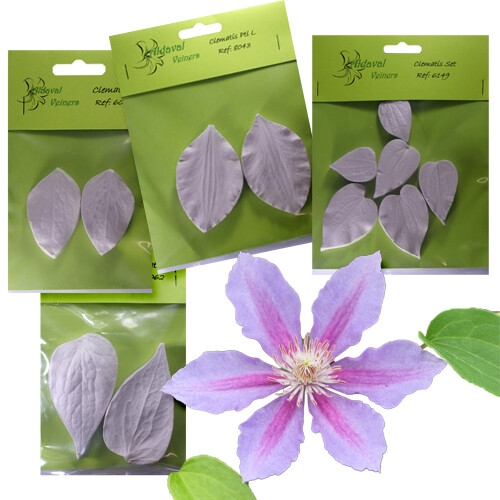 Leaf veiner petal mould - veiner,