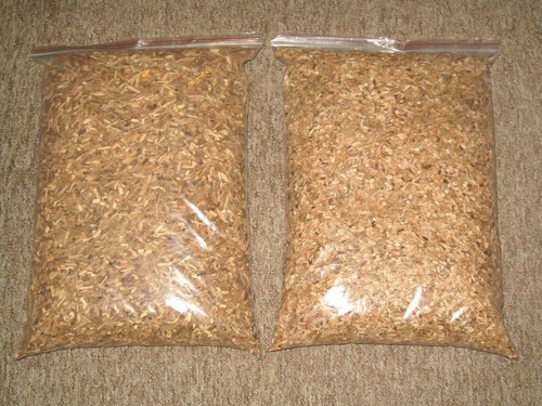 10l 100 natural - x, of