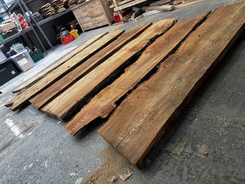 Live edge wood - live,