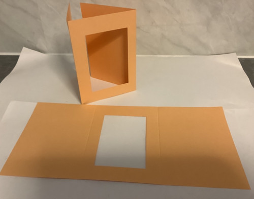 Small pale orange oblong - 50, x