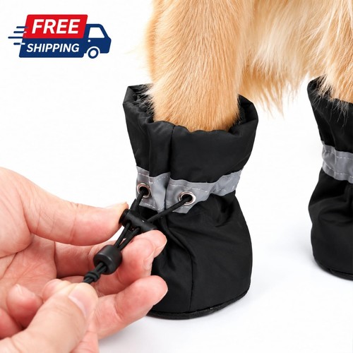 Water resistant dog shoes - dog,