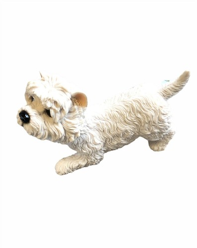 West highland terrier dog - terrier,