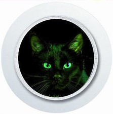 NIGHT CAT CAR TAX DISC HOLDER