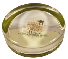 Paperweight Watercolor Signed Lamb Sheep Daisy Barnes Holly House Wombleton A3