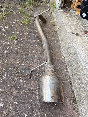 Cobra venom exhaust - cobra, back