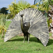 Stunning Life-Size Peacock