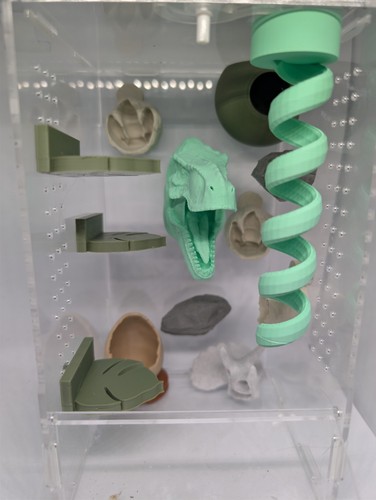 Piece printed dinosaur - 13,