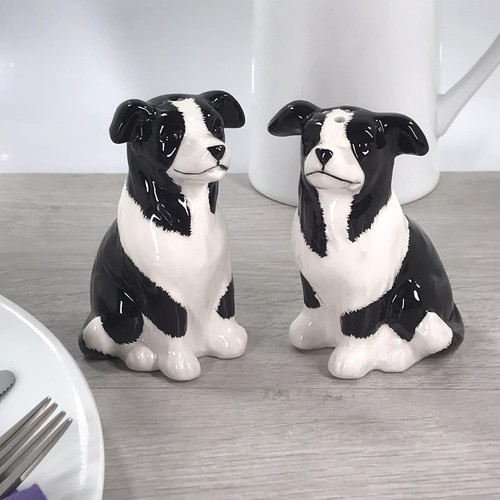 Salt pepper border collie - salt, &