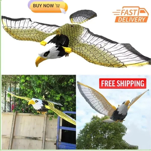 Flying bird hawk scarer - flying,