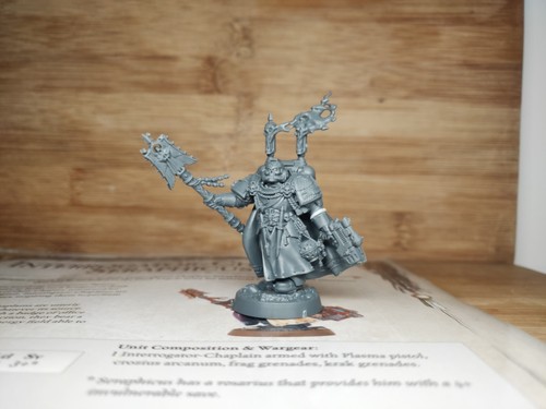 Seraphicus dark angel - seraphicus,