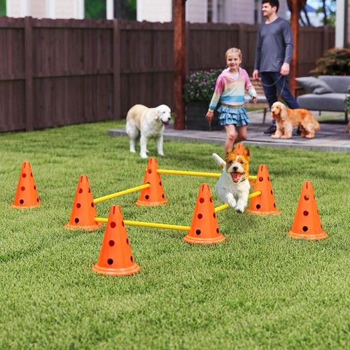 Orange 4pcs dog agility - orange,