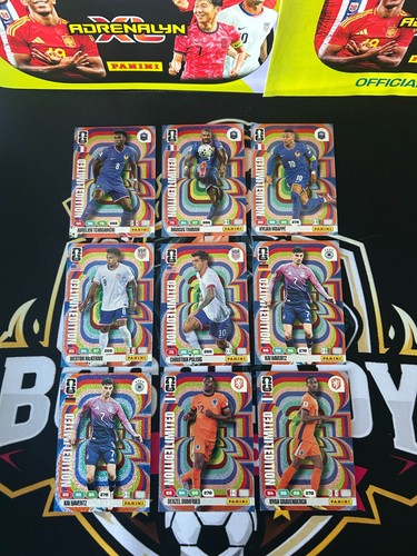 Panini adrenalyn world cup - panini,