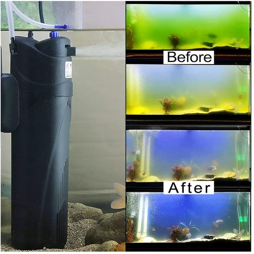 Green clean fish tank - clean,