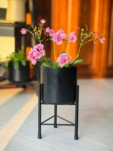 Dipamkar black plant pot - dipamkar,