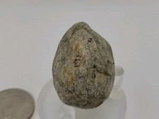 Real Dinosaur Perminerlized Reptile Egg Fossil