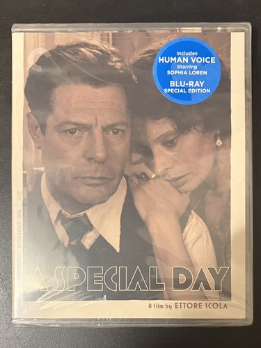 Special day criterion region - special,