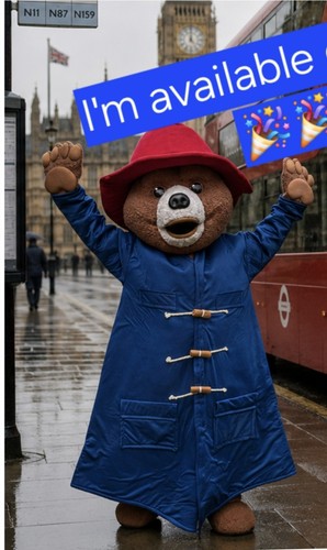Bear style mascot - , costume
