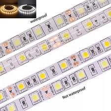 12V LED Strip Lights 5050 SMD Warm/Cool White 60led/m Flexible Tape Waterproof