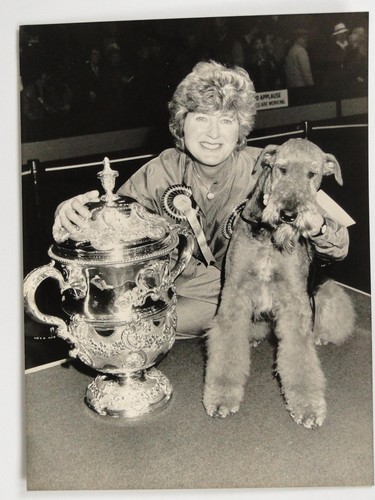 Mary swash airedale - swash, terrier