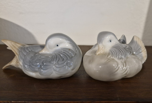 Pair mandarin ducks - pair, of