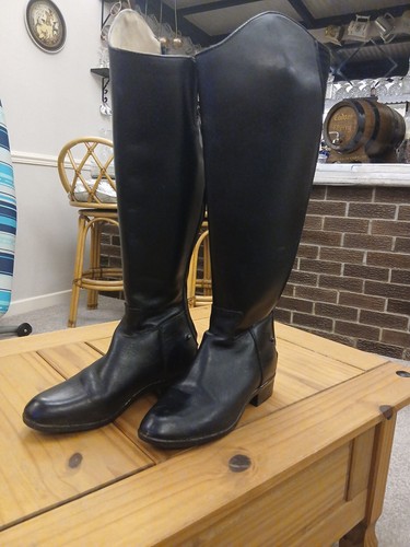 Dublin riding boots only - only, used