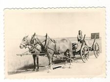 7/482 Photo The Country Year