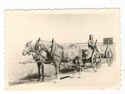 482 photo the country - 7/482,
