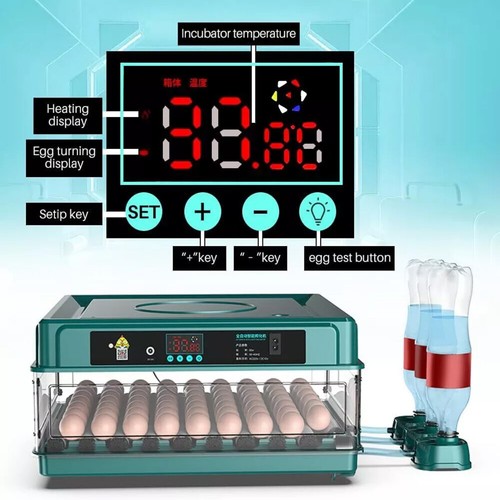 220v eggs intelligent - 48,