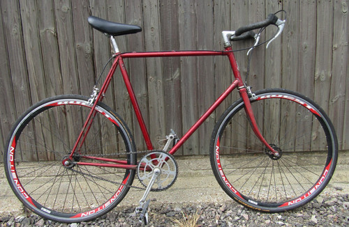 Raleigh custom road - custom,