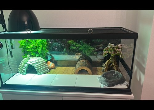 Zoo med vivarium 5ft - vivarium, 2.5ft