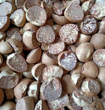 Areca Nut Betel Nuts Sun Dried