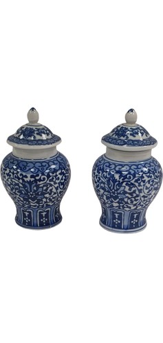 Pair chinese blue - chinese, white