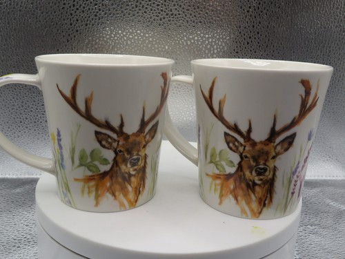 New leonardo collection - new,