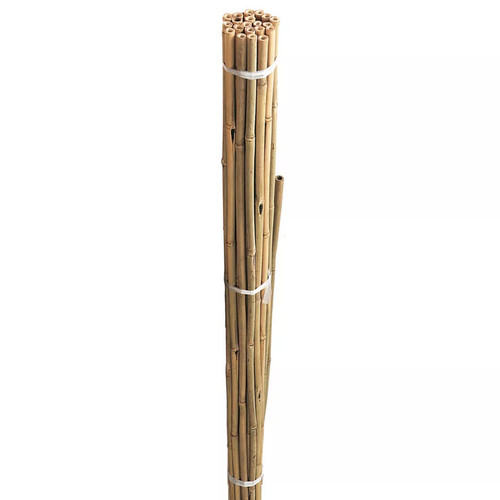 Bamboo canes strong - canes, heavy