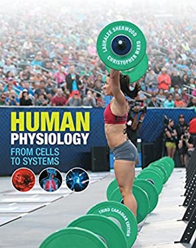 Human physiology from cells - human,