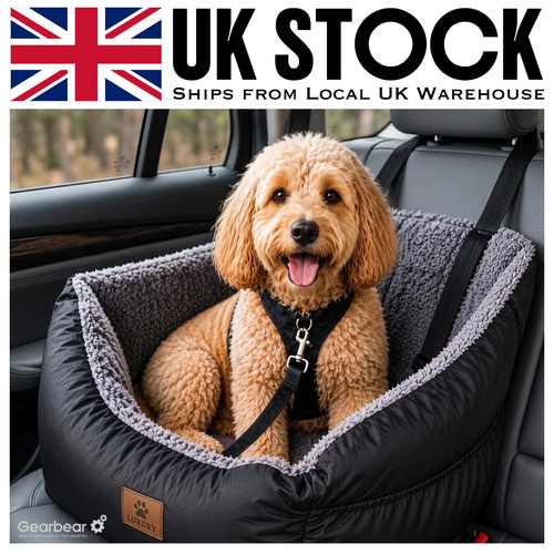 Medium dog car - dog,