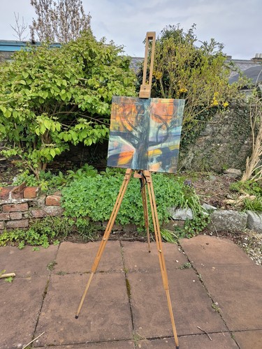 Winsor newton extending - winsor,