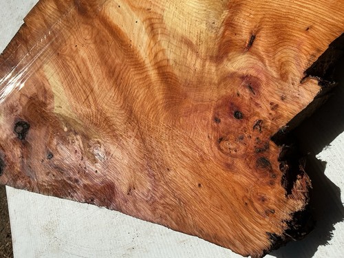 Yew wood - yew,yew, yew,yew