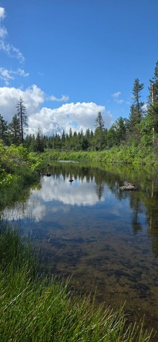 Gold claim acre camping - claim,