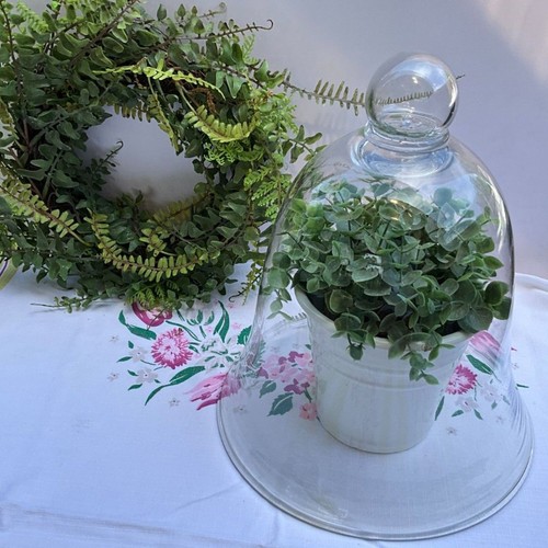 Glass cloche beautiful - beautiful, shape