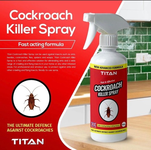 Cockroach killer spray - cockroach,
