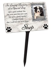 Your Photo Personalised Dog