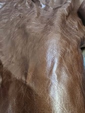 Brown Leather Remnant 1.2mm