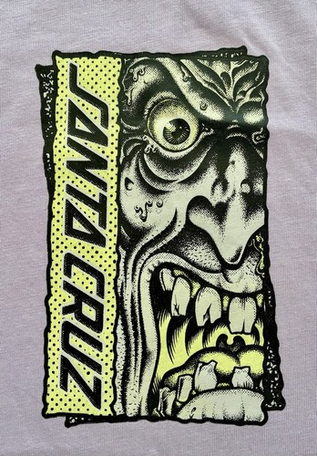 Santa cruz skateboards rob - santa,