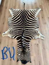 Zebra hide/ Zebra skin/ Zebra