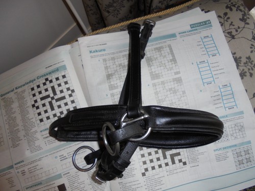 Scawbrig style bitless bridle