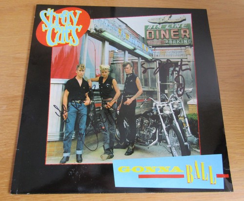 Stray cats fully signed - cats, gonna