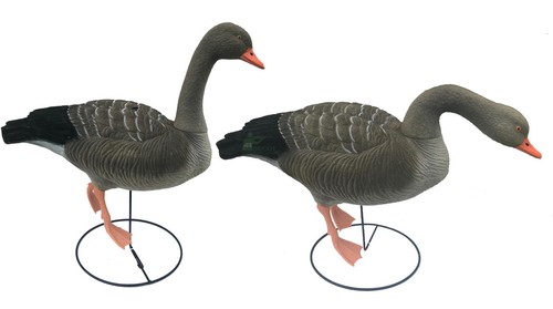 Greylag standing decoy full - standing,