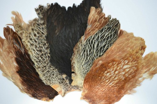 Hen capes dyed natural - ,