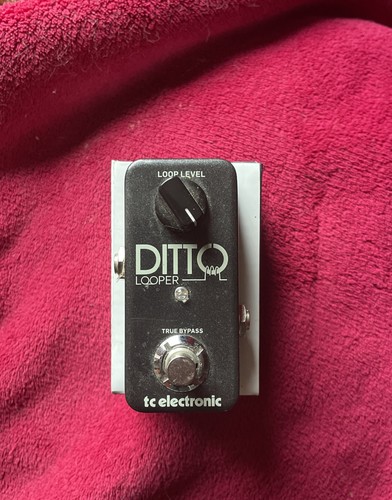 Electronic ditto looper - electronic,